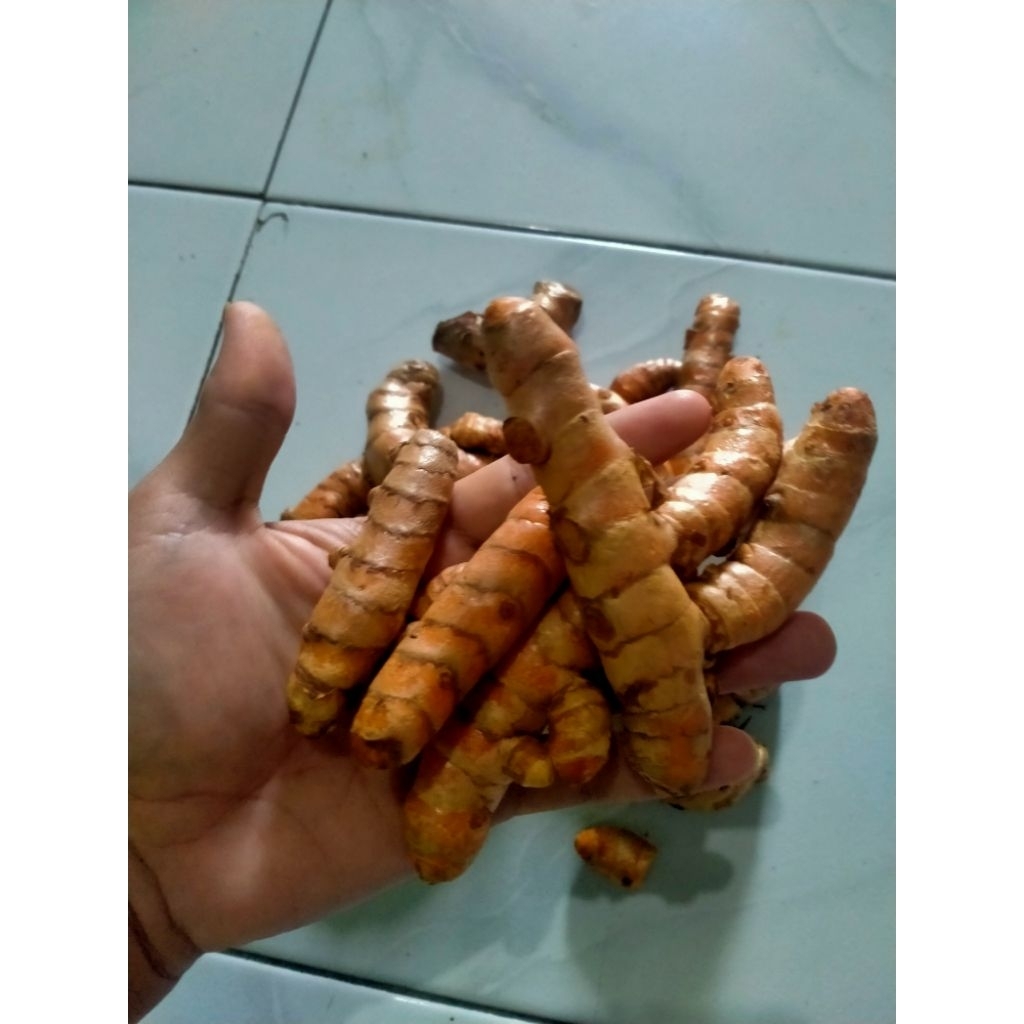 

Kunyit atau Kunir super premium 1kg.