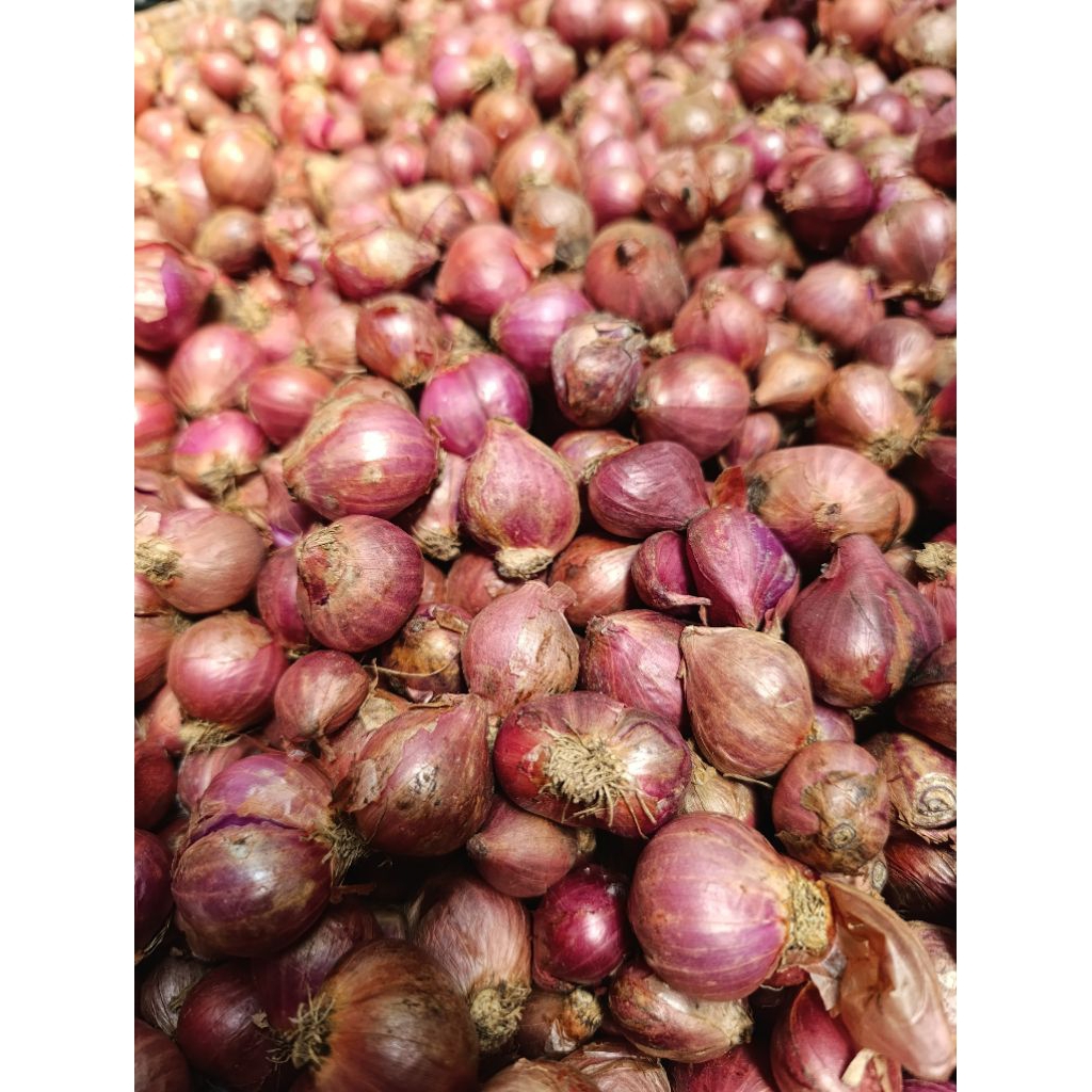 

KUPILIHKAN!! BAMER BAWANG MERAH ASLI JAWA BREBES /BAWANG MERAH KILOAN /BAWANG MERAH MURAH