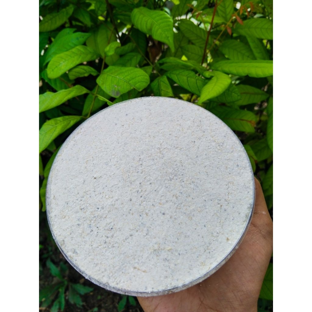 

TEPUNG SINGKONG/TEPUNG GAPLEK/TEPUNG TIWUL