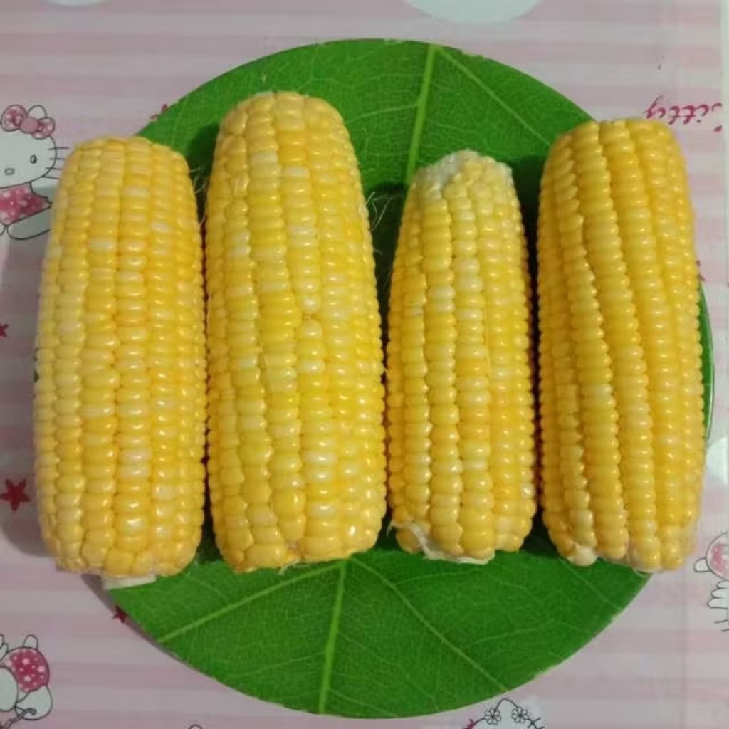 

Jagung