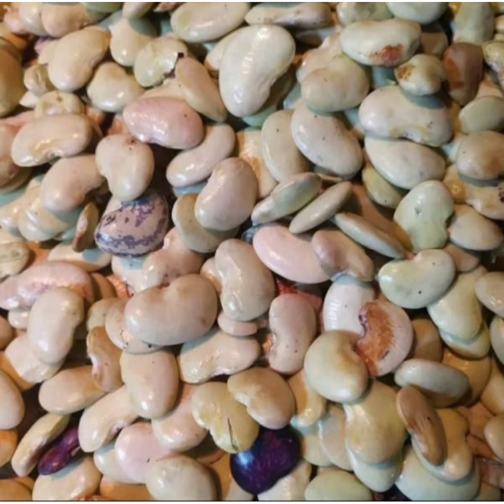 

Kacang Roay 250 gram