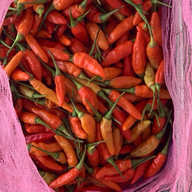 

cabe rawit merah 1 Kg - cabe rawit merah segar