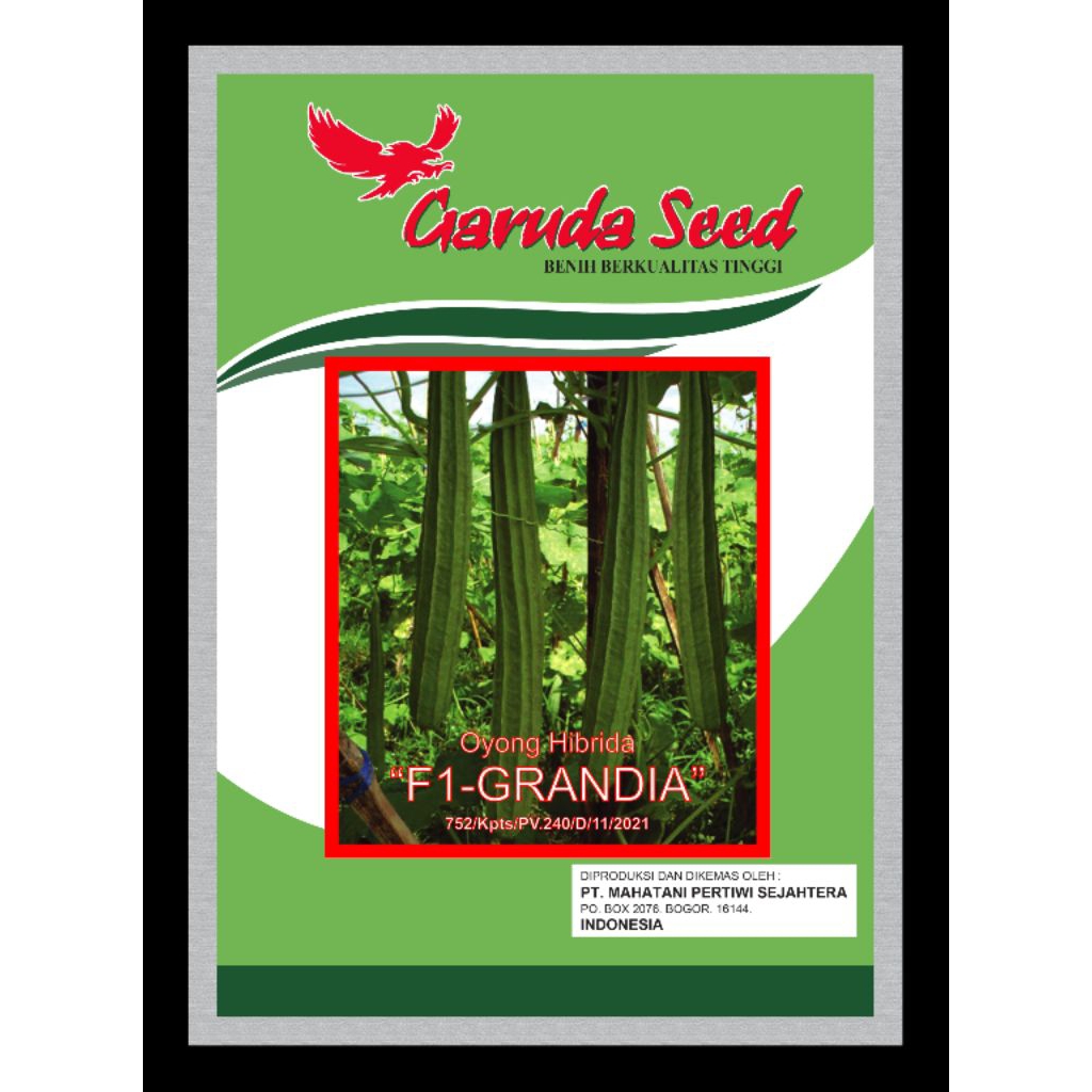 BENIH BIBIT OYONG HIBRIDA F1 GRANDIA 10 GRAM KEMASAN PABRIK GARUDA SEED