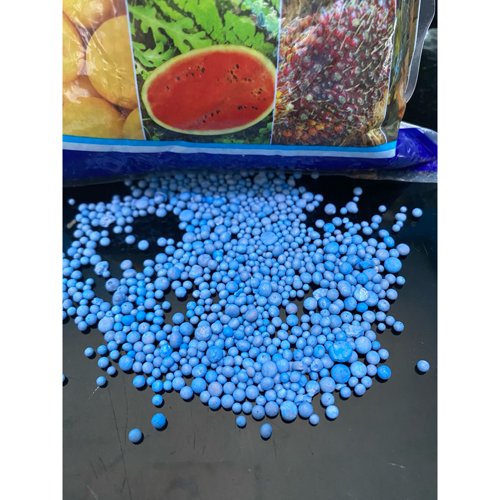 Pupuk NPK 16-16-16 Rusia – Pupuk Repack 100 Gram Original
