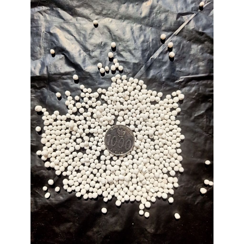 

Sagu Mutiara Warna Putih 1kg (bukan thailand)