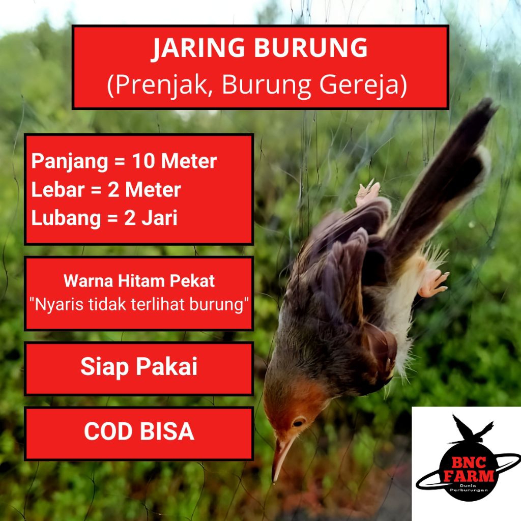 JARING BURUNG PRENJAK JARING BURUNG KECIL SIAP PAKAI TINGGAL PASANG