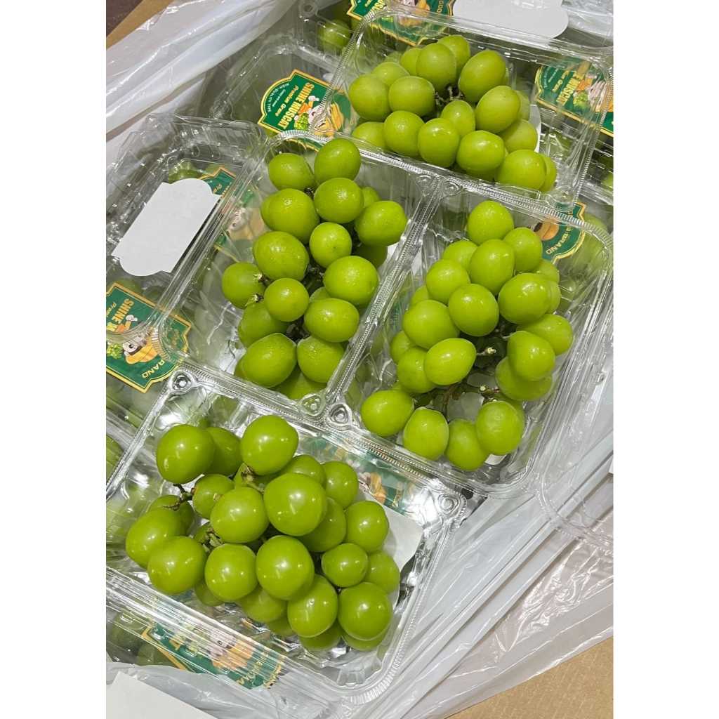 

Anggur Muscat Hijau 500gr ± | Buah Segar Manis Premium Import