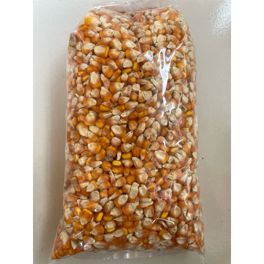 

Jagung Hibrida 1kg