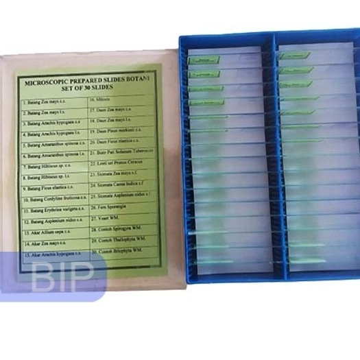 Preparat Awetan Kaca 1 Set 30