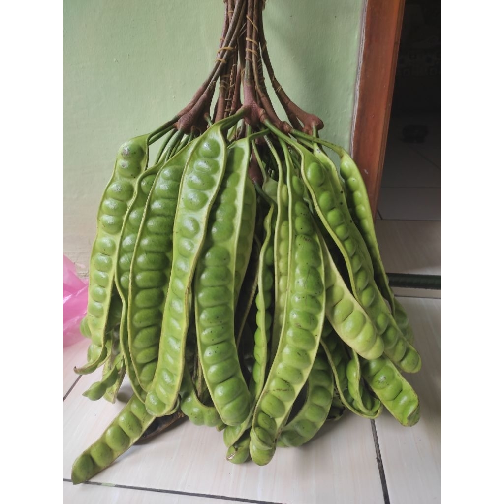 

pete padi super tua per 10 papan