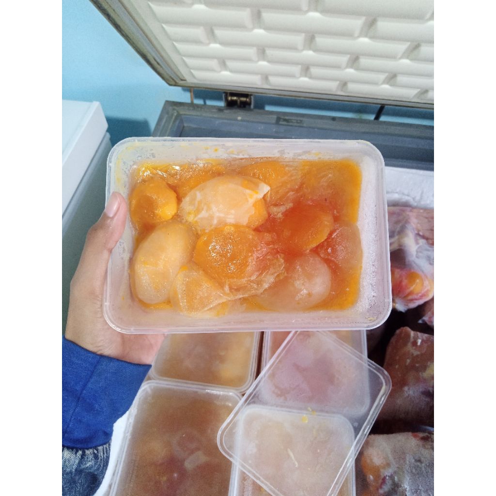 telur muda ayam /telurnya aja