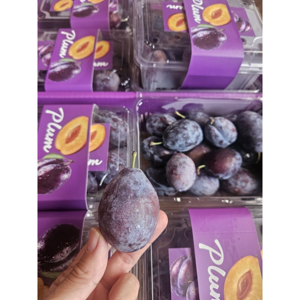 

sugar plum buah segar manis