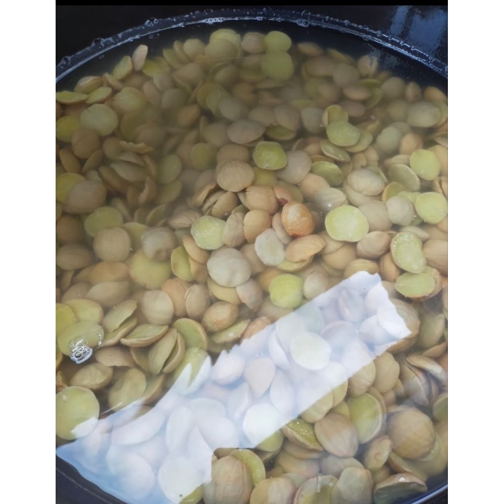 

Jengkol Rebus Asli Kalimantan