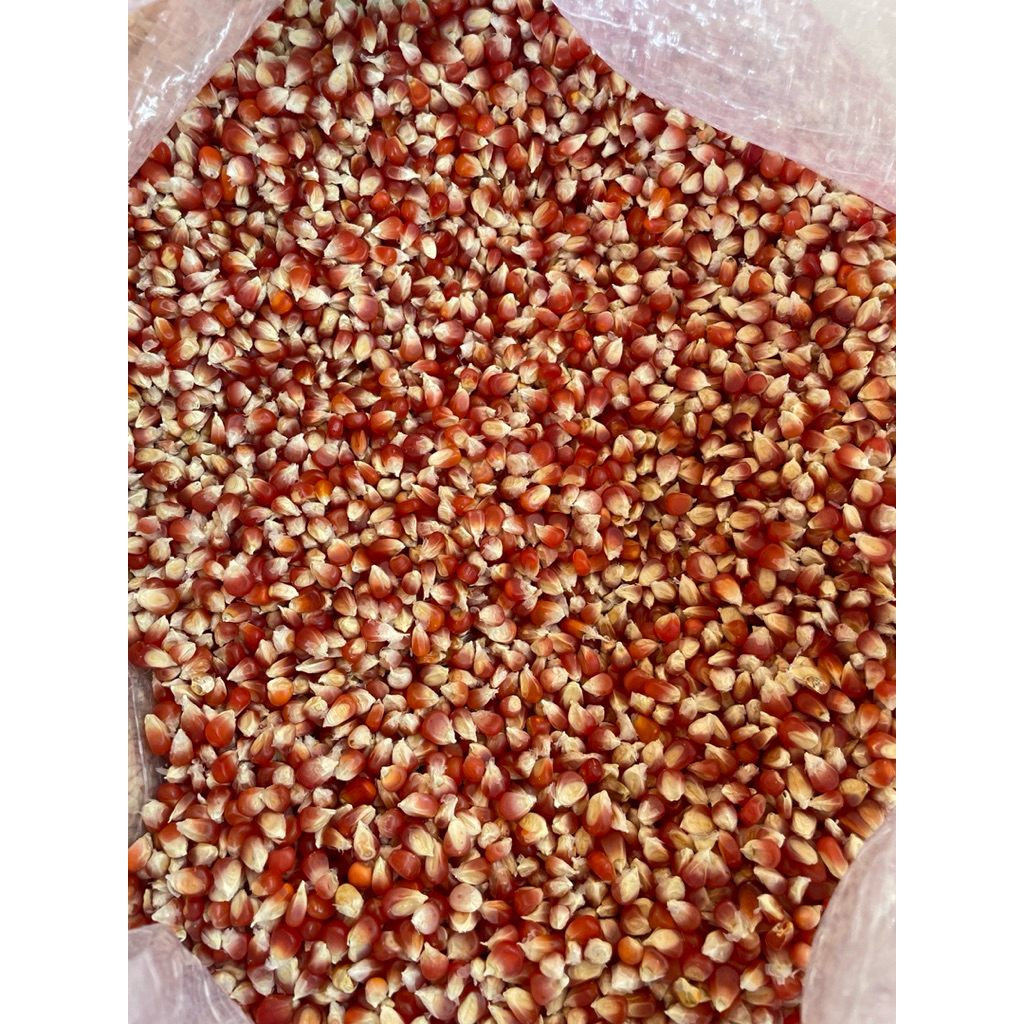 jagung kristal merah kemasan 1kg