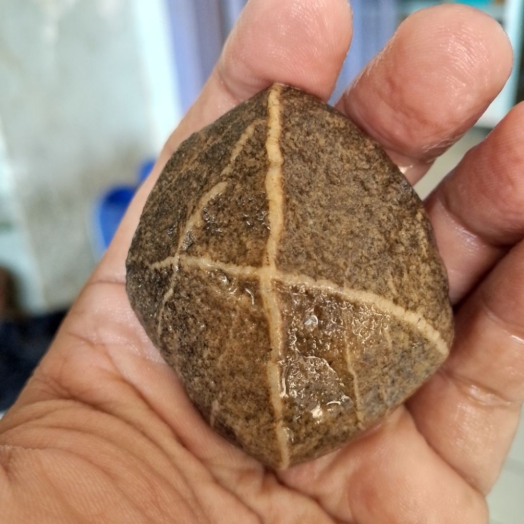 natural bahan tapak jalak huruf A asli alam