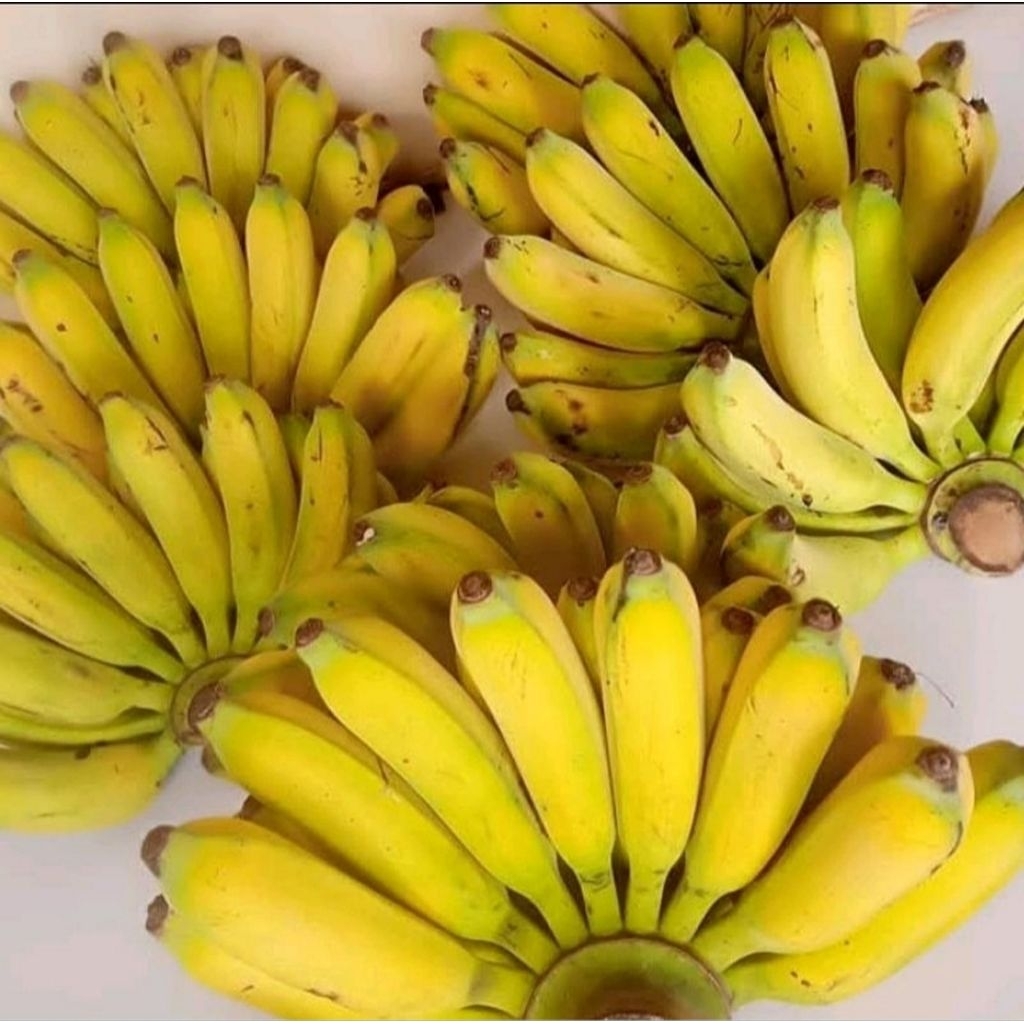 

Pisang raja bulu 1kg