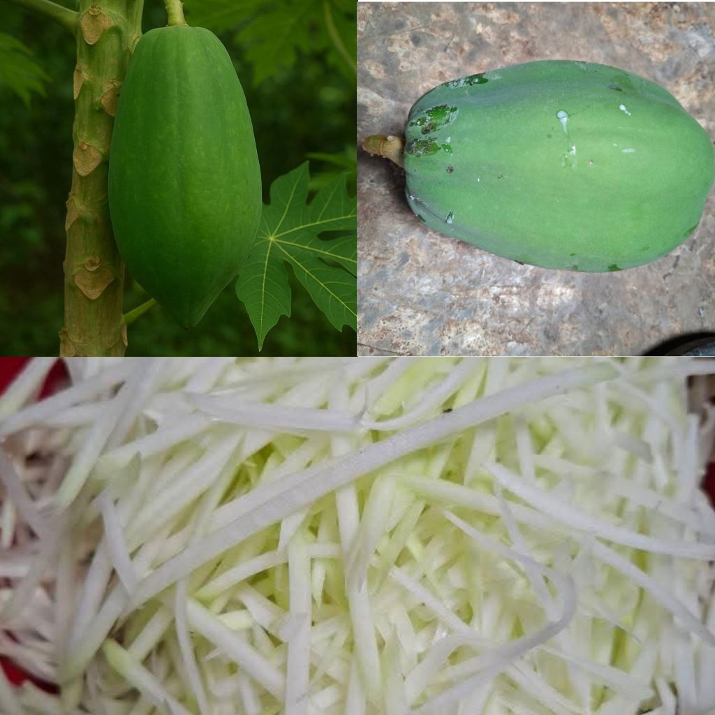 

PEPAYA MUDA PER BUAH BERAT 1KG - 1.5KG OBAT ASAM URAT