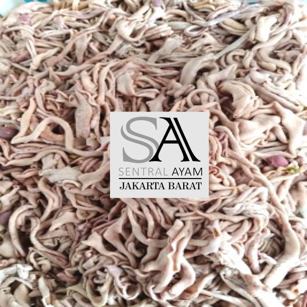 USUS SEGAR 1KG / USUS MURAH / USUS MENTAH 1KG USUS FRESH FROZEN USUS BERKUALITAS