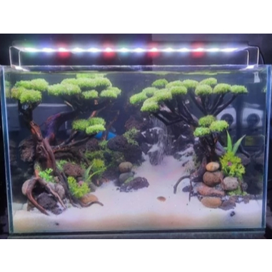 Paket Fullset Aquascape Tema Waterfall