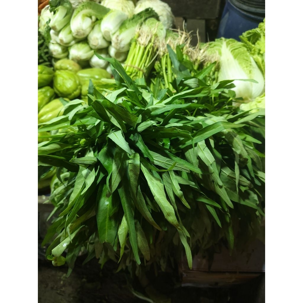 

Kangkung segar 1 ikat