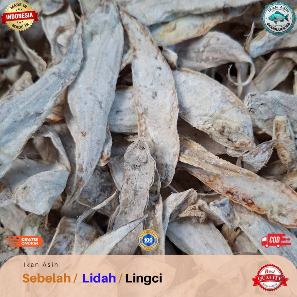 

Ikan Asin Sebelah / Lidah / Lingci Kecil 250gram, 500gram, 1kg