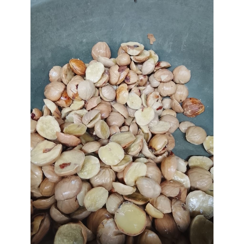 

jengkol rebus 500g