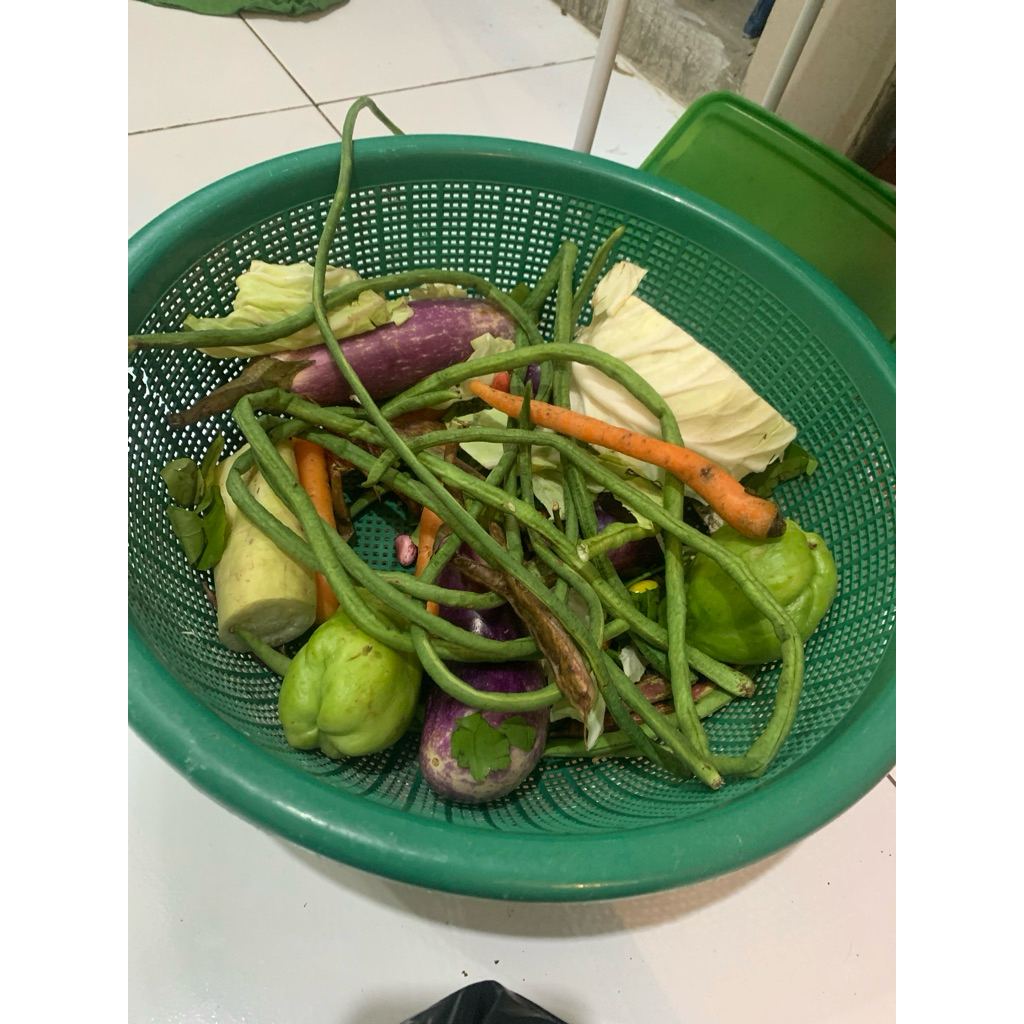 

sayur mayur segar sayur asem