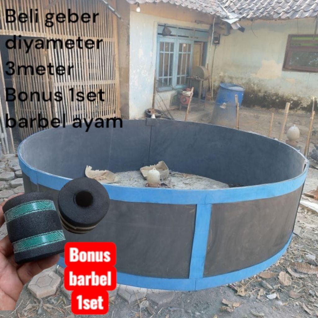 Terlaris Geber aduan ayam arena ayam ring ayam kalang ayam