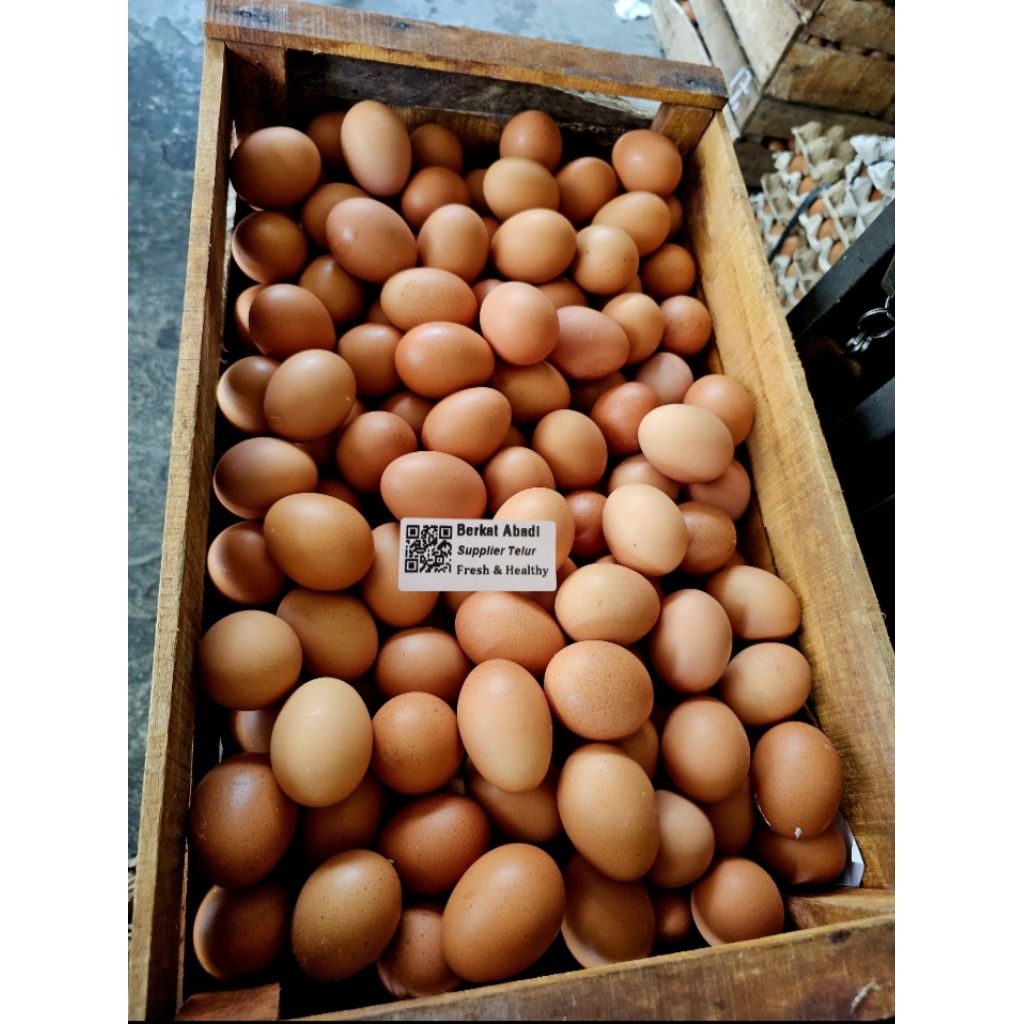 

Telur Ayam Negri Lokal Premium per ikat 15,5kg bagus bersih