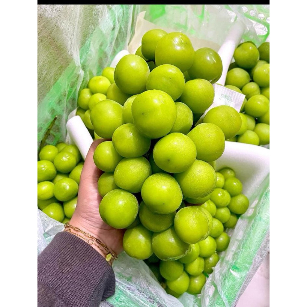 

Anggur Shine Muscat 1pack