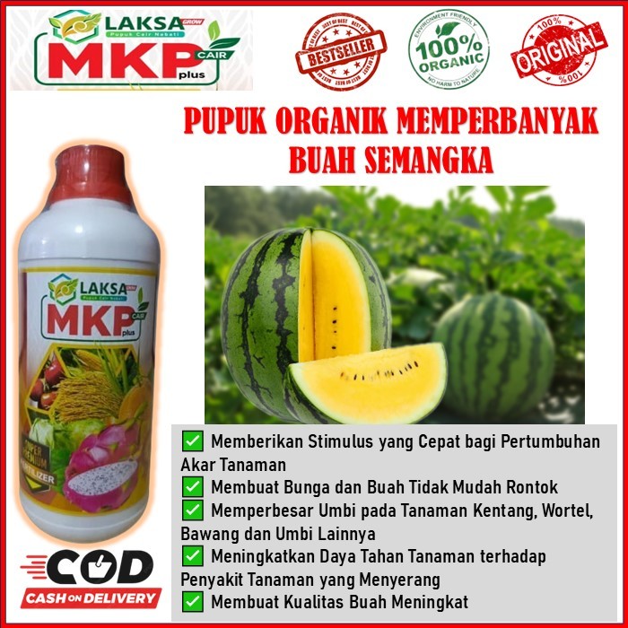 MKP Laksa Grow pupuk penambah bobot buah semangka - MKP Cair plus pupuk organik cair membantu meleba