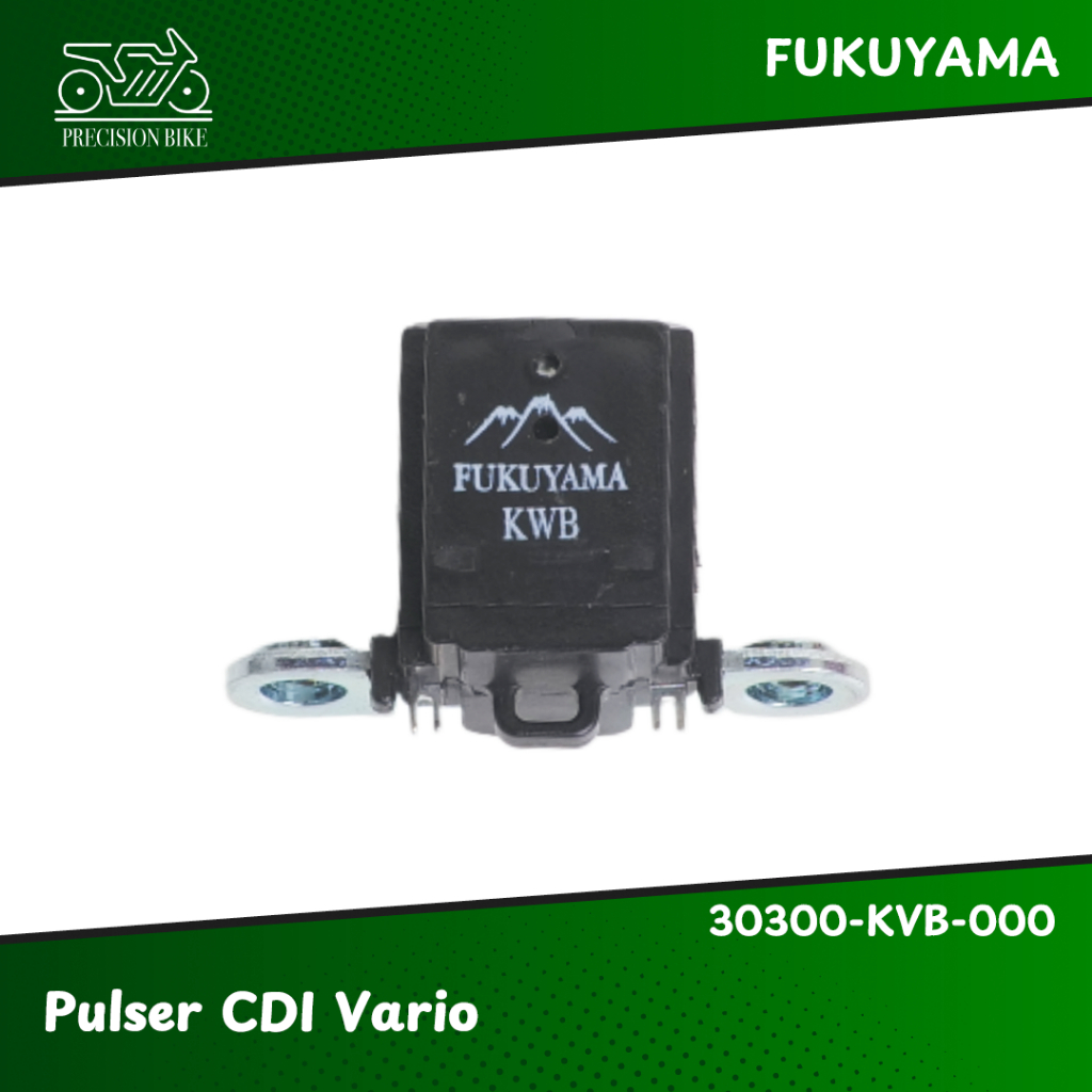 Fukuyama Pulser CDI Vario