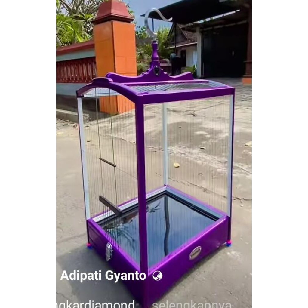 Sangkar burung ruji senar model raja mentahan ambrukan