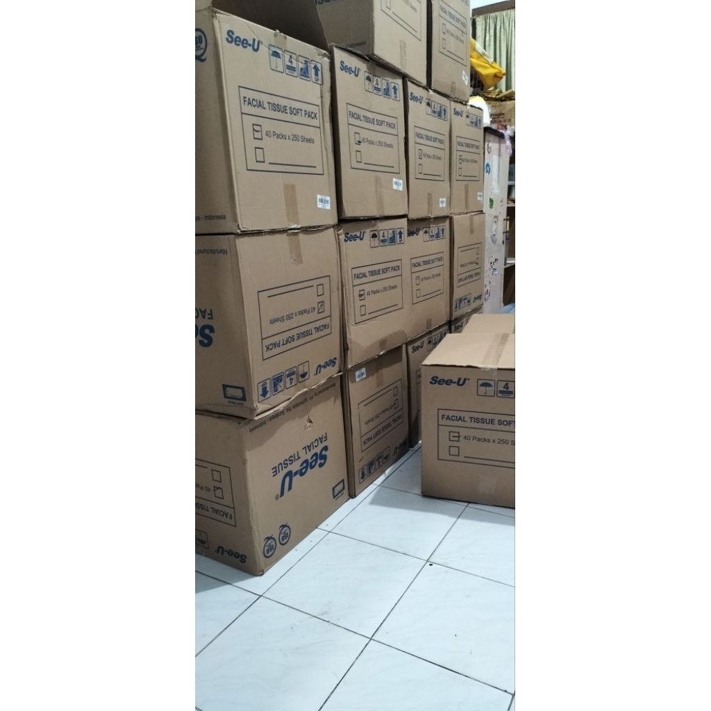 tissue see-U 1 karton