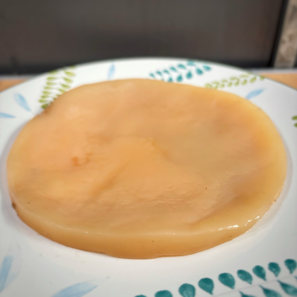 

Scoby Kombucha by Shan