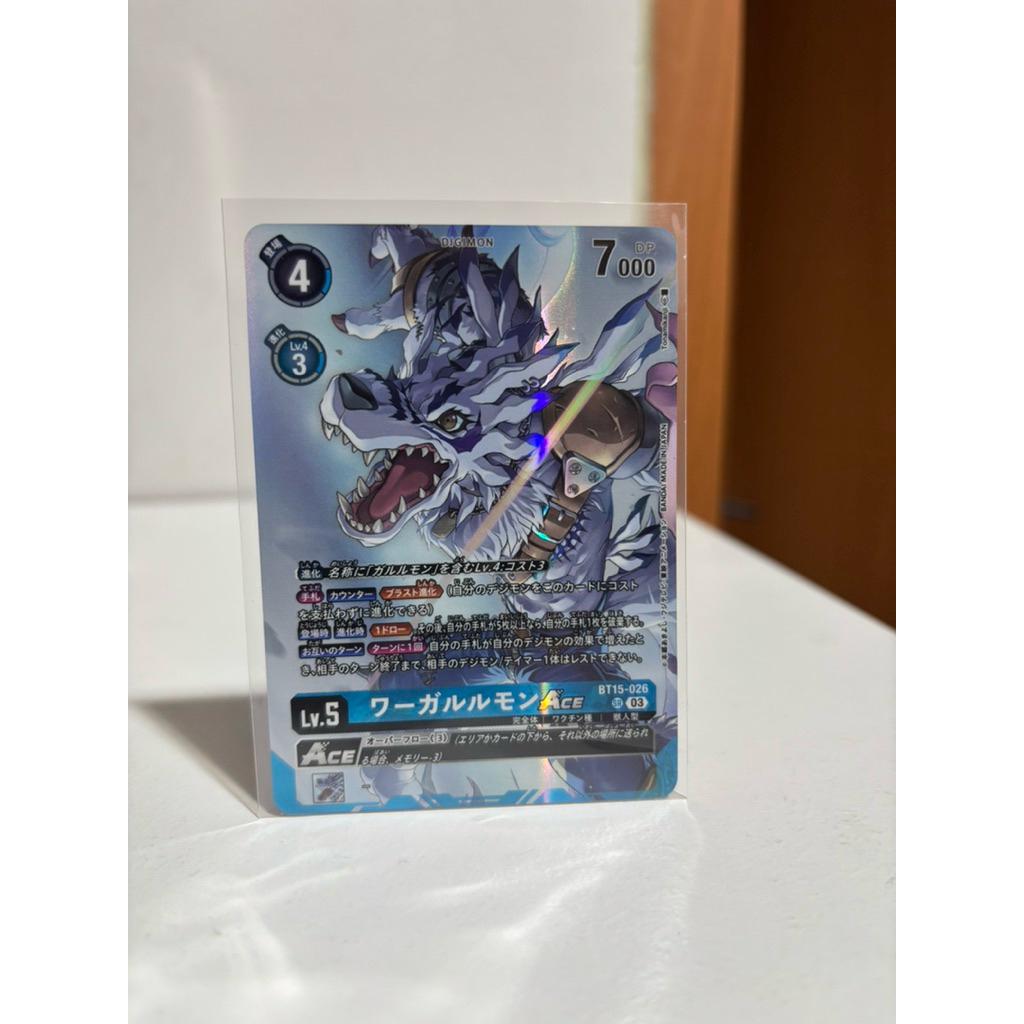 Lelangan kartu digimon 19