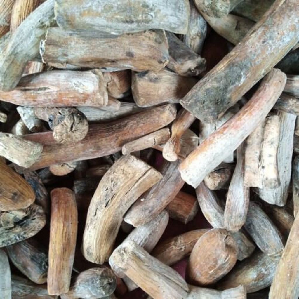 

Gatot Singkong Khas Jawa 10kg – Makanan Tradisional Praktis & Enak