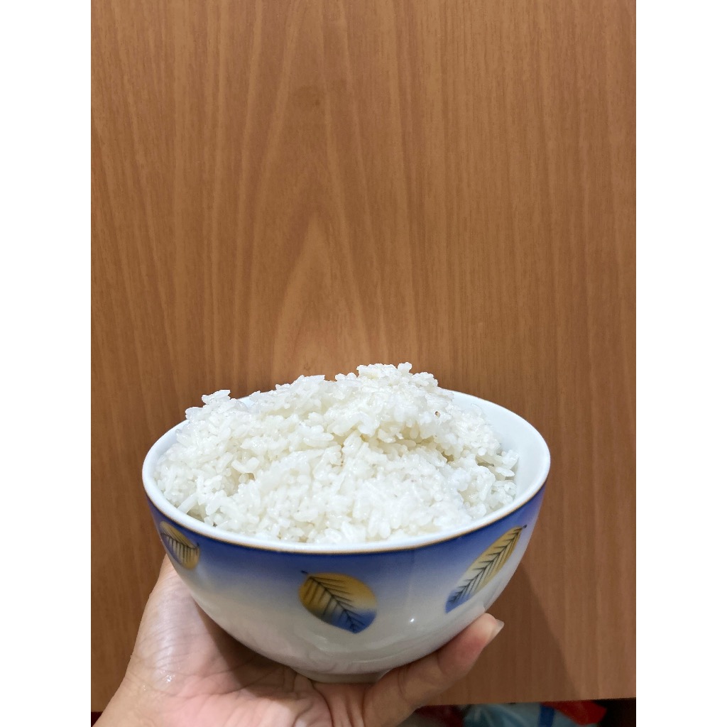 

Beras Pulen Sumatera - 500 gram - Beras Lokal