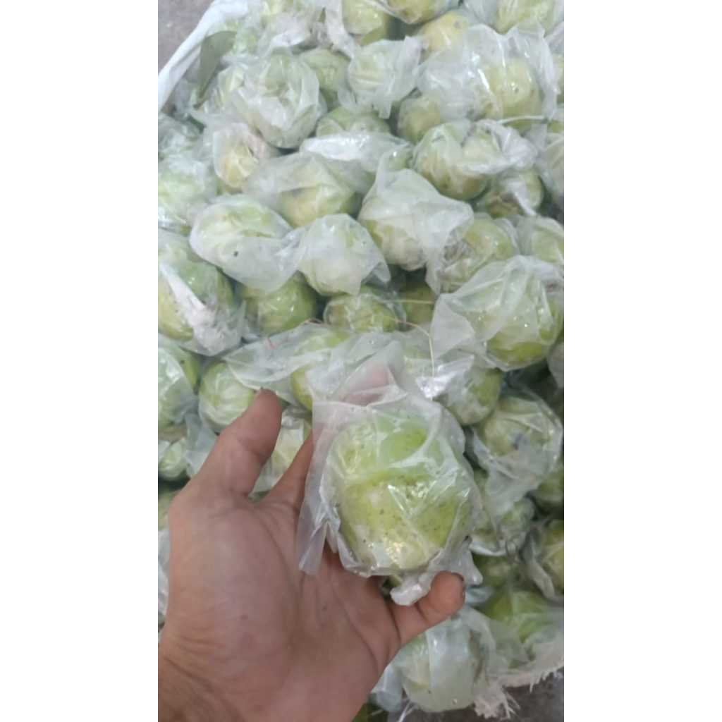 

jambu kristal manis isi 6-8 khas kebumen