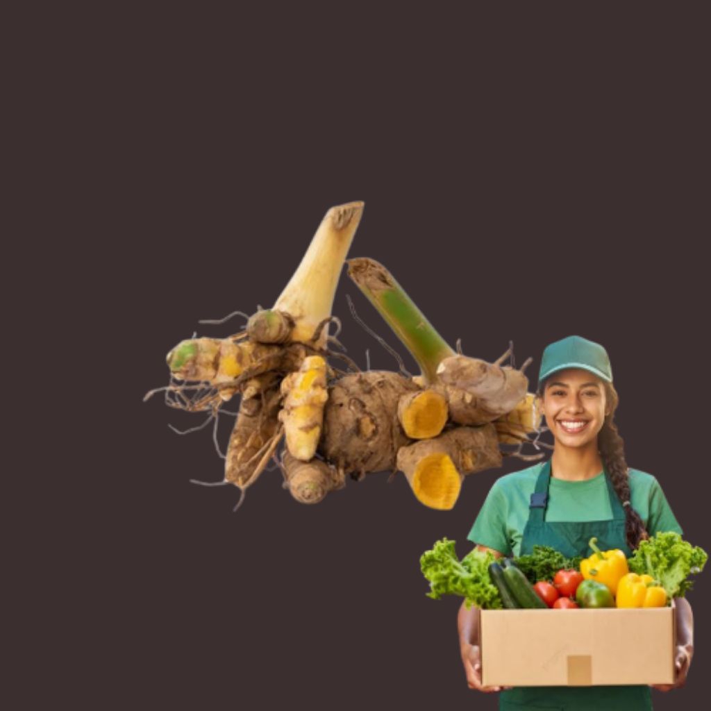 

TEMULAWAK BUMBU MASAK REMPAH REMPAH 250GR