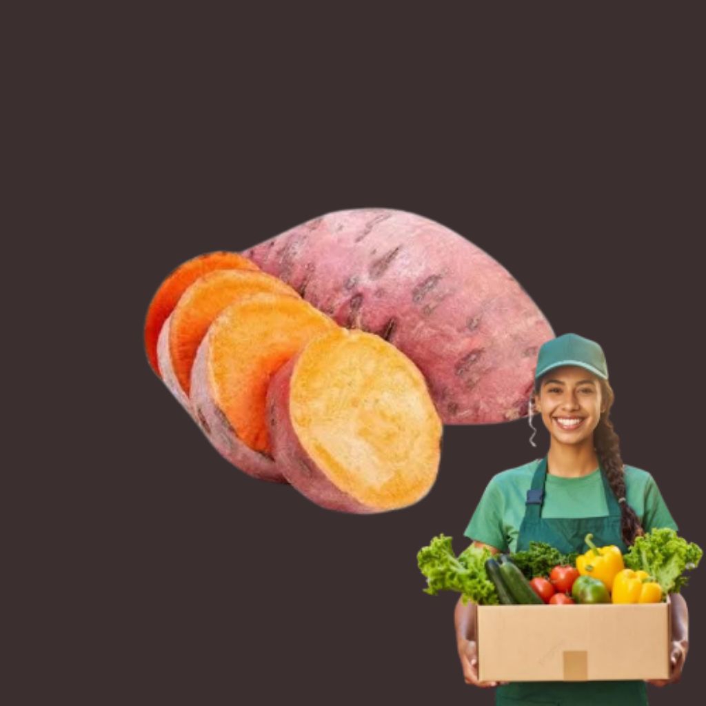 

UBI RAMBAT UMBI UMBIAN LOKAL