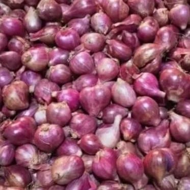 

Bawang Merah 1kg