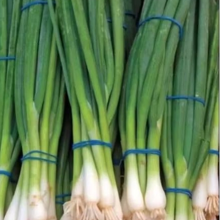 

Daun bawang / Unclang / teropong/ porong paket 5000