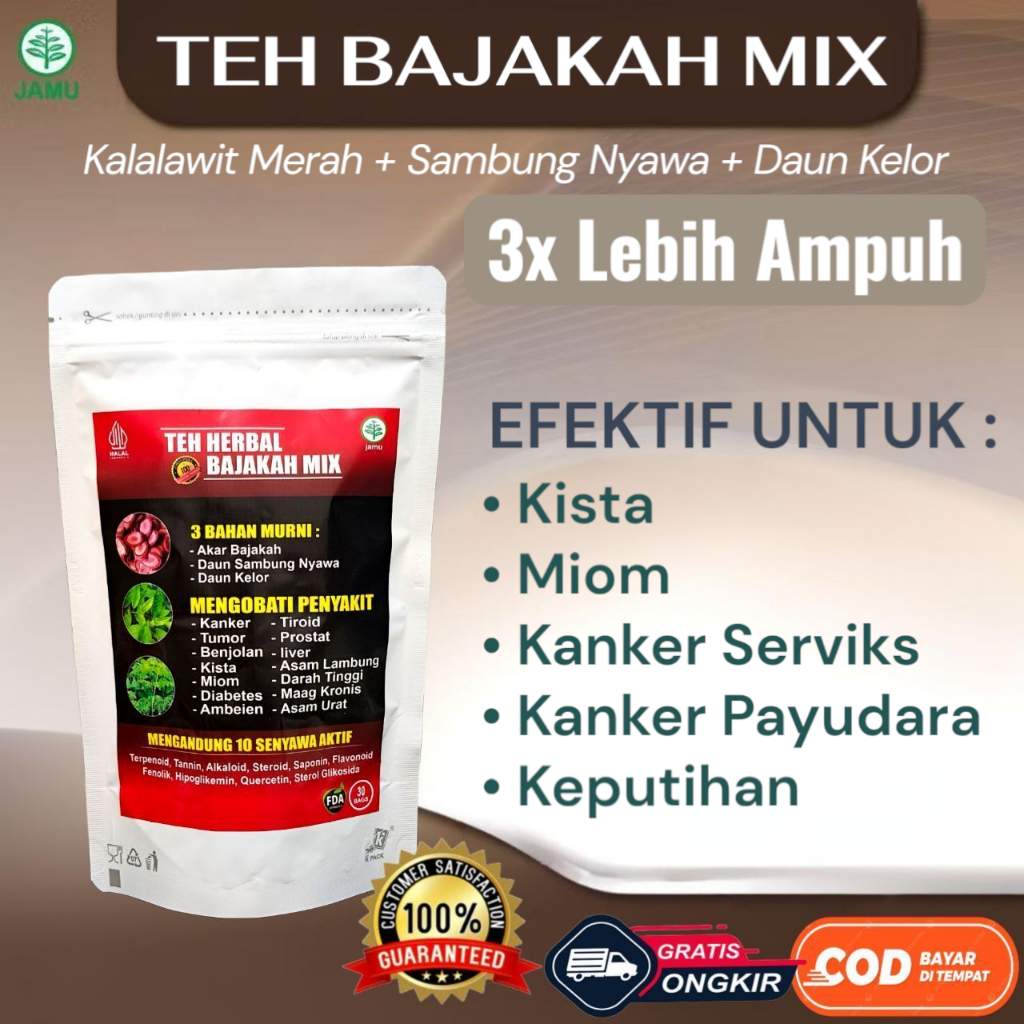 

Teh Herbal New Bajakah Special Mix Original Untuk Kista Miom Kanker Payudara Kanker Serviks