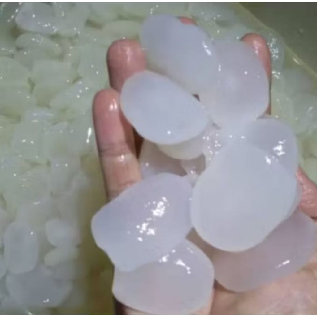 Kolang Kaling Segar Kolang Kaling Super 1kg