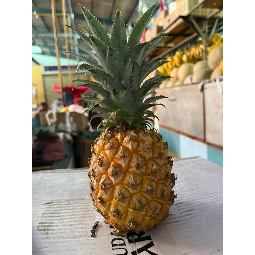 

nanas madu Pemalang isi 2 500-550gram