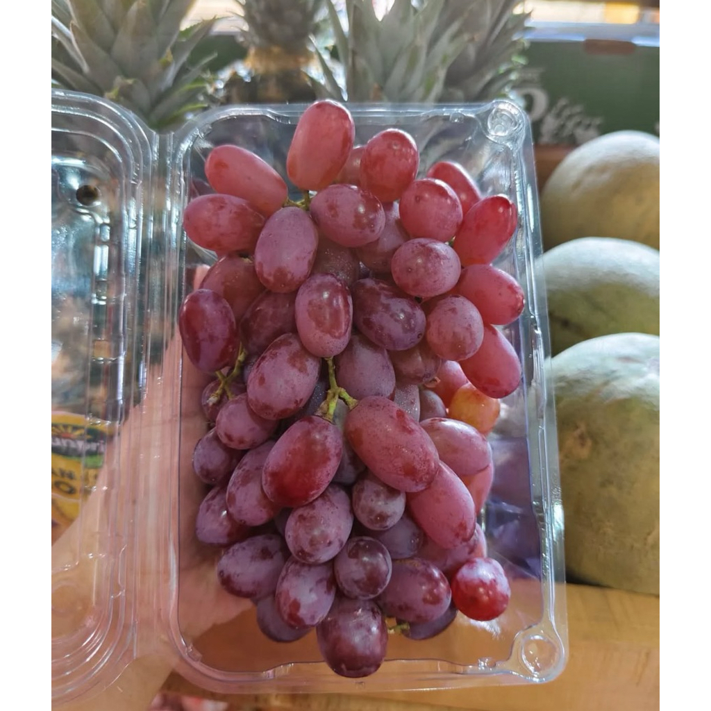 

Anggur Red Candy Crimson