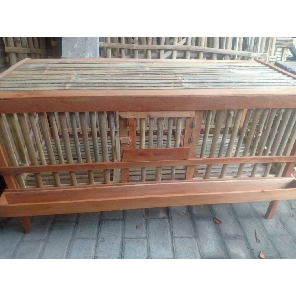 KANDANG AYAM PEMBESARAN DOC