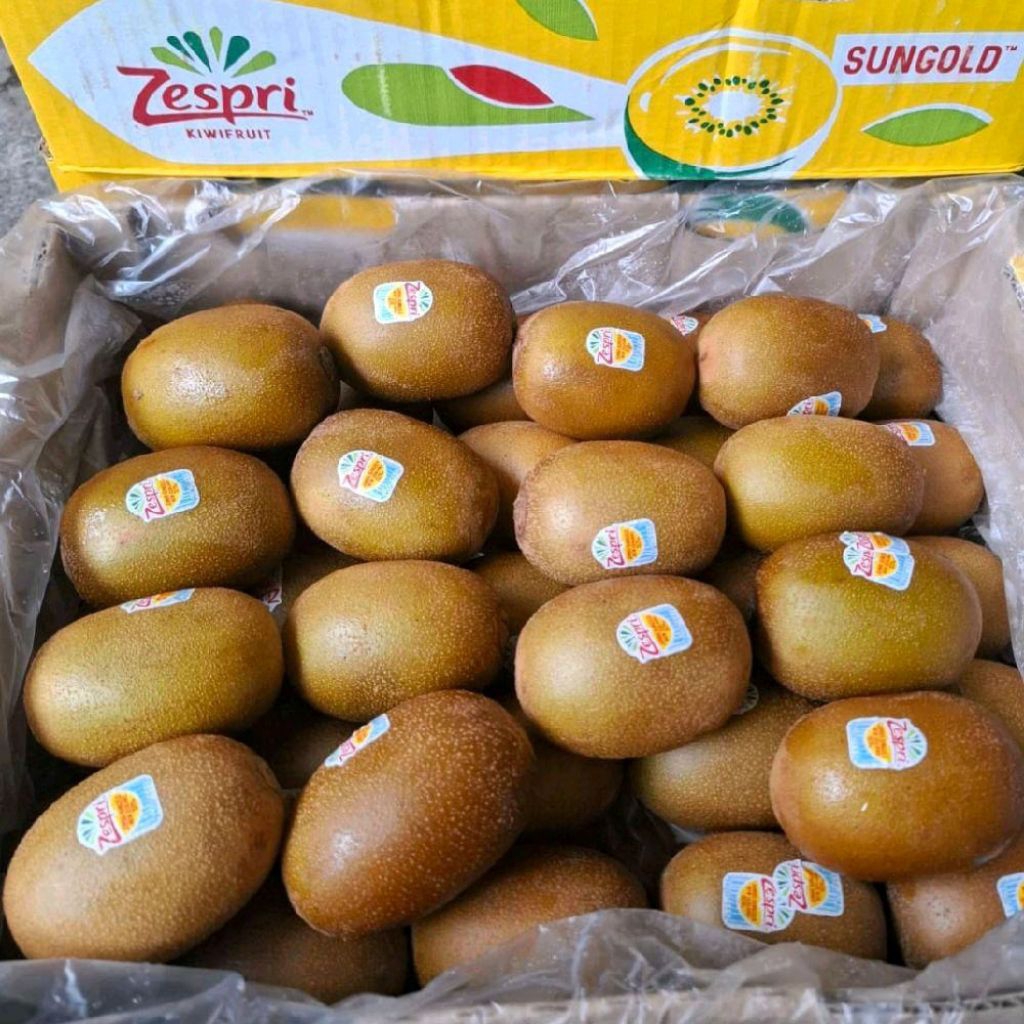 

Buah kiwi gold Zespri kiwi kuning import manis super 1 kg