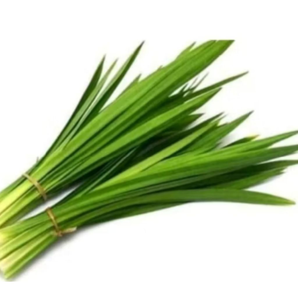 

Daun Pandan Wangi Perikat